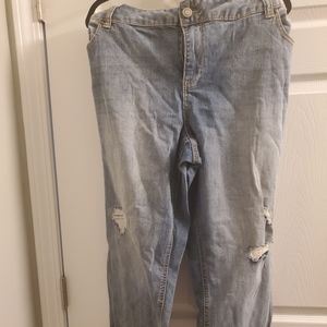 Lane Bryant Weekend Capris size 22